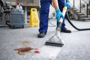 Чистка ковровых покрытий в коммерческих помещениях: особенности, методы и профессиональный подход