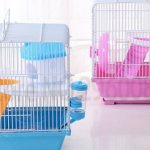 Two cages for a hamster