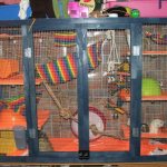 How to make a rat cage with your own hands from scrap materials at home